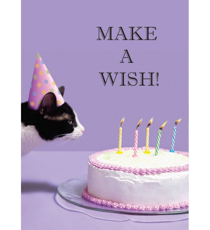Cards With Pop® Birthday Cat Cake